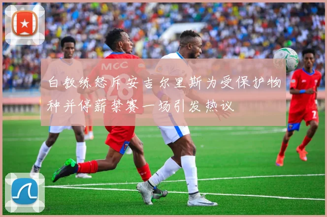 白教练怒斥安吉尔里斯为受保护物种并停薪禁赛一场引发热议