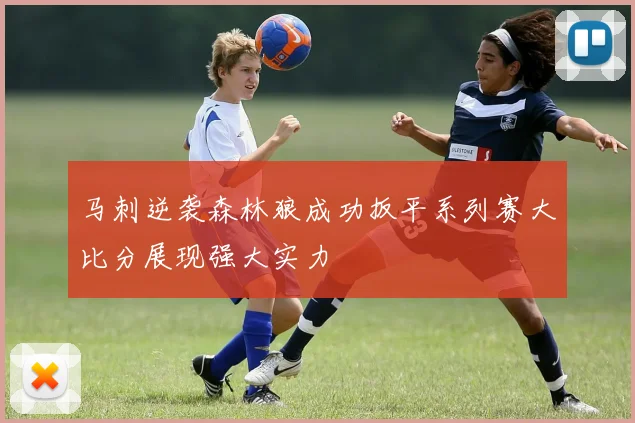 马刺逆袭森林狼成功扳平系列赛大比分展现强大实力