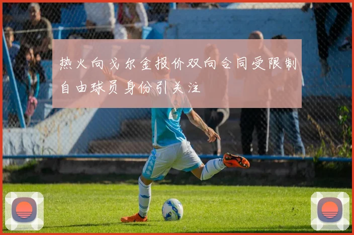 热火向戈尔金报价双向合同受限制自由球员身份引关注
