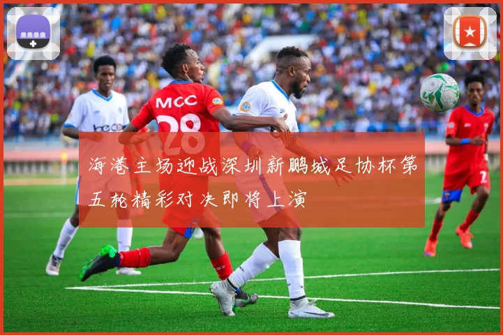 海港主场迎战深圳新鹏城足协杯第五轮精彩对决即将上演