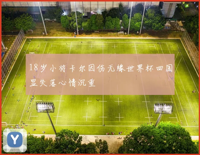 18岁小将卡尔因伤无缘世界杯回国显失落心情沉重