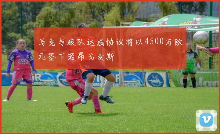 马竞与狼队达成协议将以4500万欧元签下若昂戈麦斯