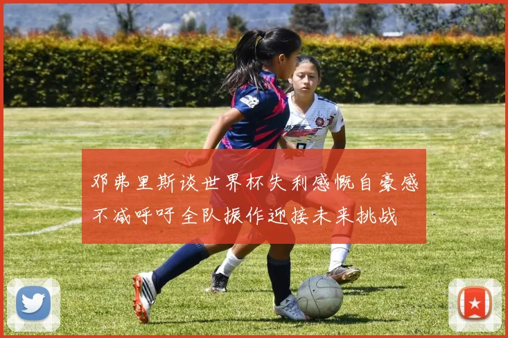 邓弗里斯谈世界杯失利感慨自豪感不减呼吁全队振作迎接未来挑战